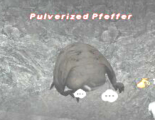 Pulverized Pfeffer Picture